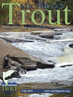 Michigan-Trout-Fall-2011