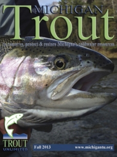 Michigan-Trout-Fall-2013