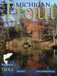 Michigan-Trout-Fall-2015