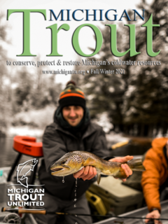 Michigan Trout Fall 2021