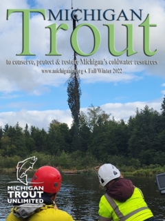 Michigan-Trout-Fall-2022
