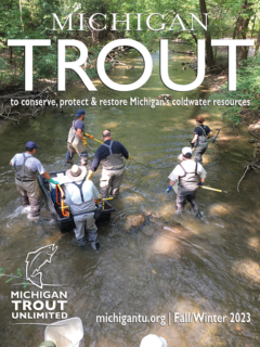 Michigan-Trout-Fall-2023