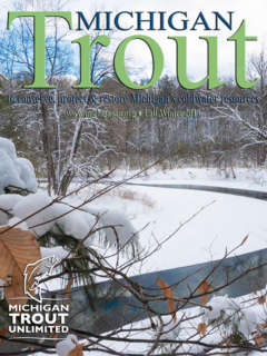 Michigan Trout - Fall-Winter 2019