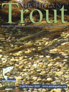 Michigan-Trout-Fall-winter-2010