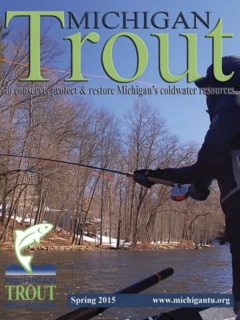 Michigan-Trout-Spring-2015