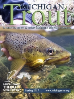 Michigan-Trout-Spring-2017