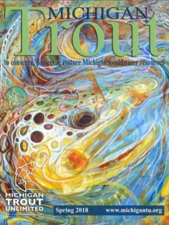 Michigan-Trout-Spring_2018