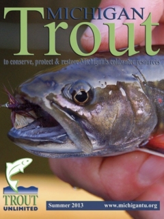 Michigan-Trout-Summer-2013