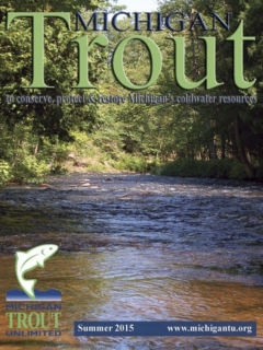 Michigan-Trout-Summer-2015