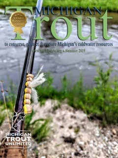 Michigan-Trout-Summer-2019