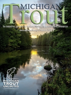 Michigan-Trout-Summer-2022