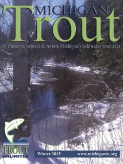 Michigan-Trout-Winter-2015