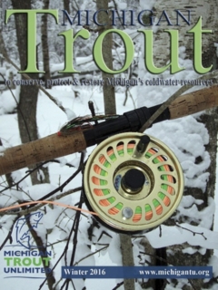 Michigan-Trout-Winter-2016