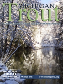 Michigan-Trout-Winter-2017