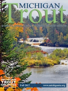 Michigan_Trout_Fall_2017