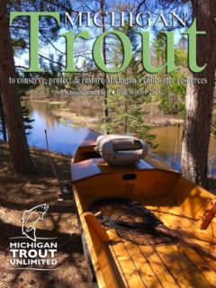 Michigan_Trout_Fall_2020
