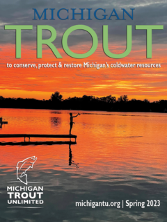 Michigan_Trout_Spring_2023