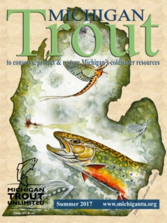 Michigan_Trout_Summer_2017