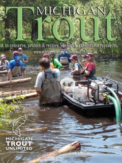Michigan_Trout_Summer_2020