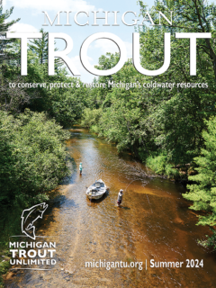 Michigan Trout Summer 2024