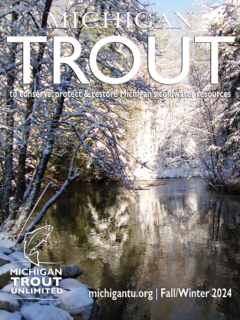 Michigan Trout Fall-Winter2024