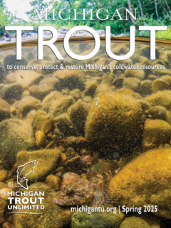 Michigan Trout Spring 2025