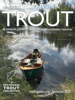 Michigan Trout Cover Summer 2025