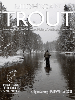 Michigan Trout Cover Fall 2025